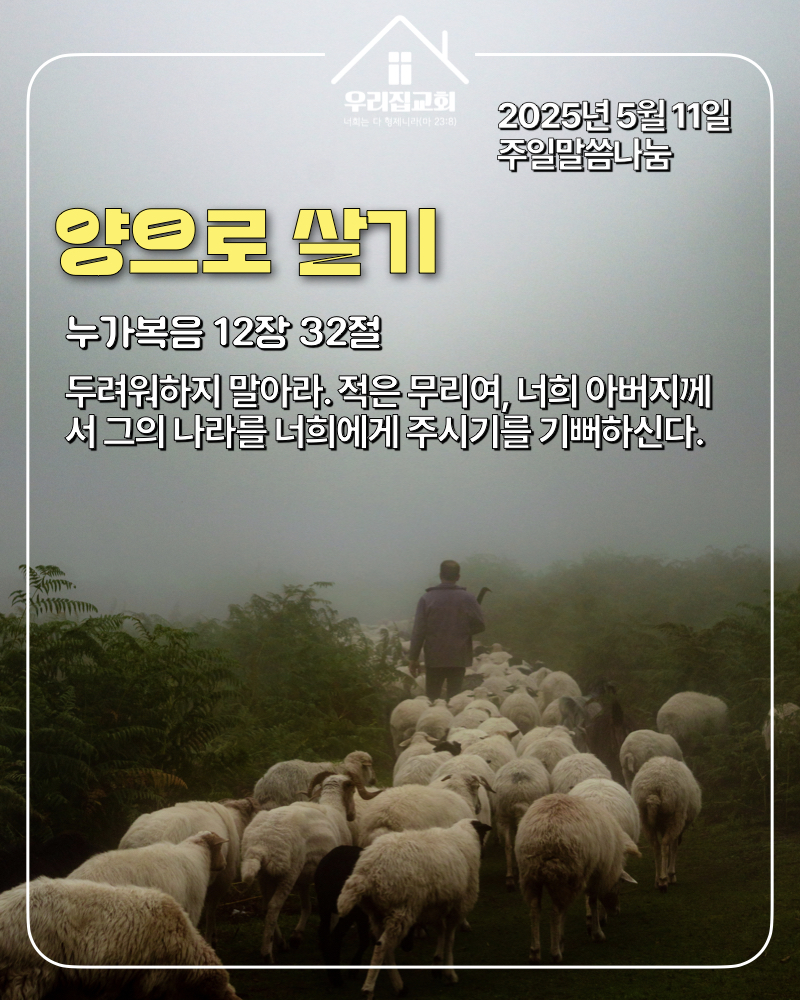 양으로 살기(250511) 첫 번째 첨부 이미지